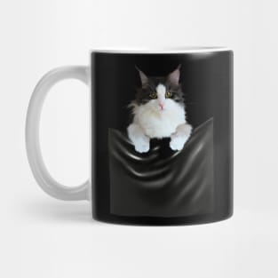 Ragamuffin Cat, Funny Cat Inside Pocket Mug